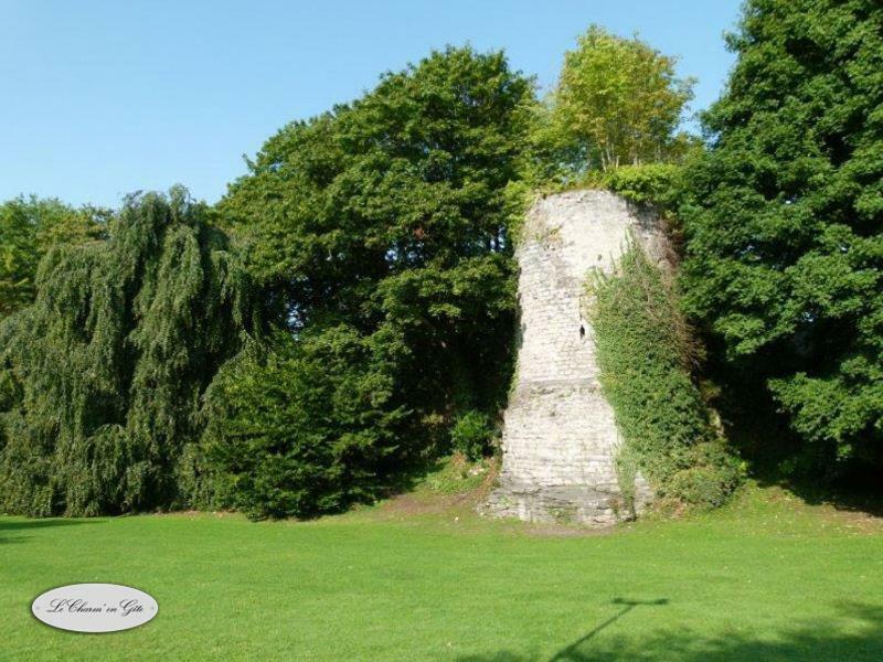 Villa Le Charm'En Gite Tournai Exterior foto